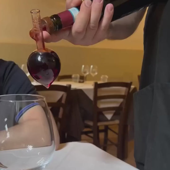 Elegant Red Wine Aerator & Pourer - Portable Round & Flask Shaped Glass Decanter Spout.