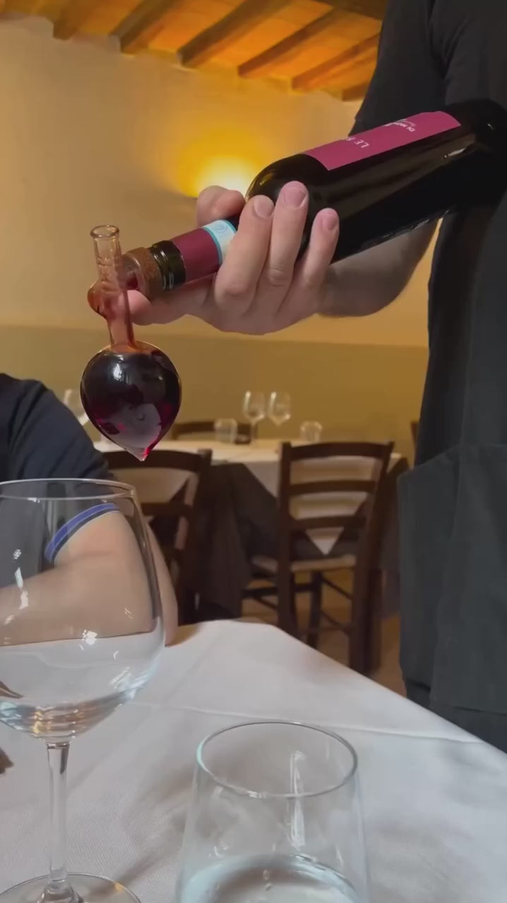 Elegant Red Wine Aerator & Pourer - Portable Round & Flask Shaped Glass Decanter Spout.