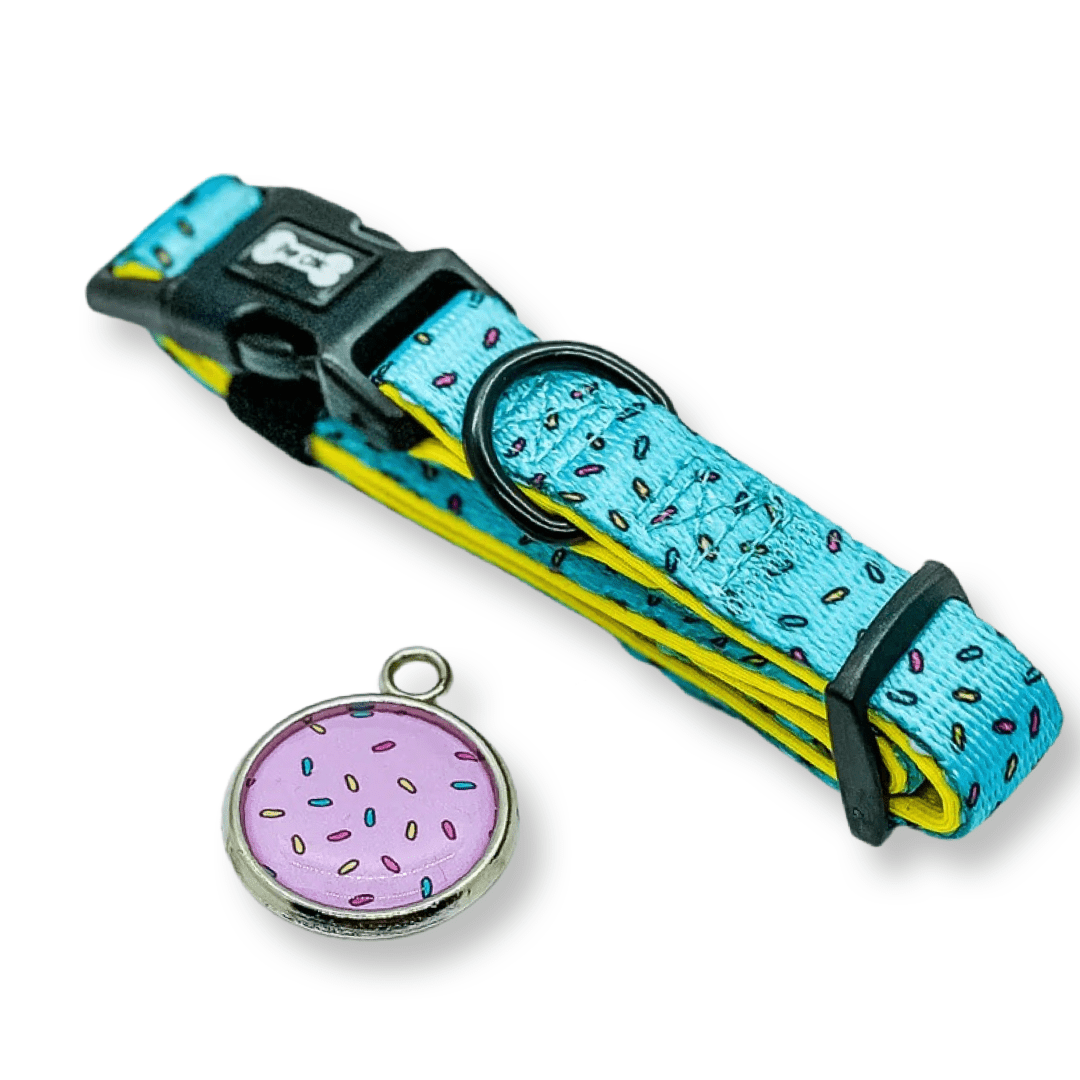 Fun design dog collars in multiple sizes, XS puppy collar starts at 20cm, colourful styles to match harness & socks