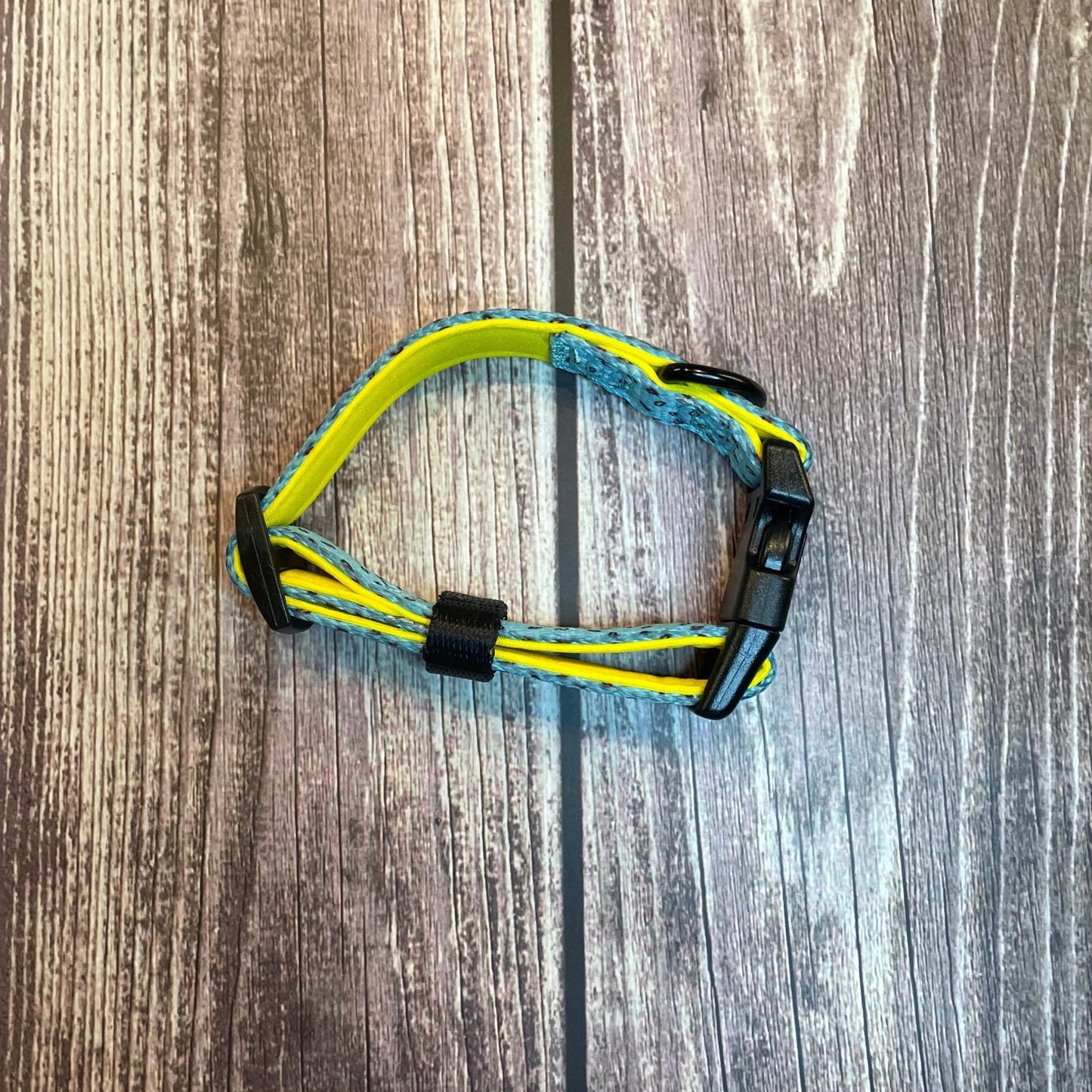 Fun design dog collars in multiple sizes, XS puppy collar starts at 20cm, colourful styles to match harness & socks