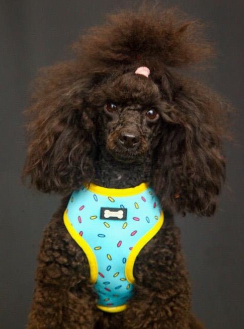 Sprinkles for Days reversible dog harness with pink and blue sprinkle prints, donut‑inspired design