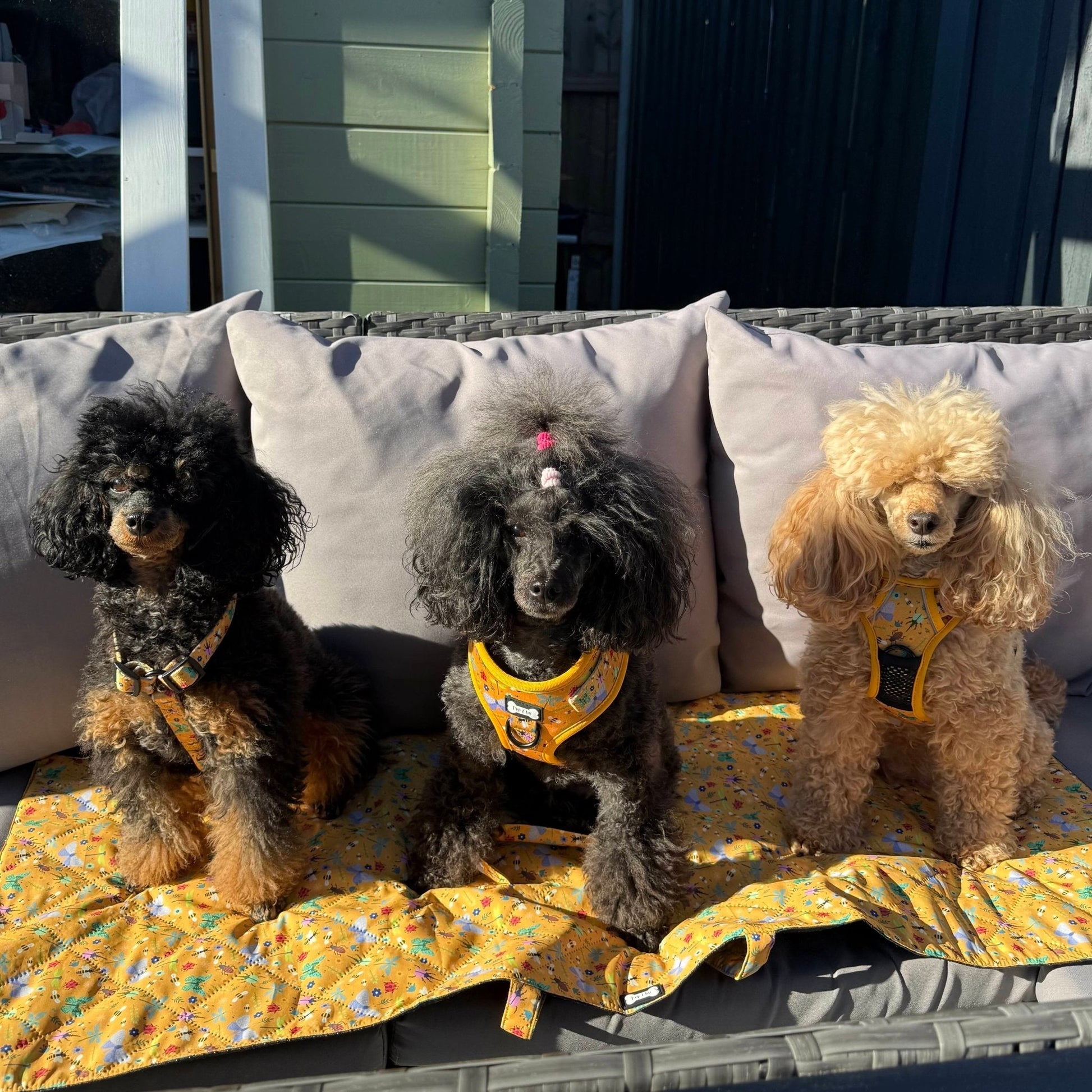 Summer Buzzin’ waterproof dog settle mat with cheerful insect print, 50×100cm portable travel mat