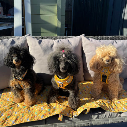 Summer Buzzin’ waterproof dog settle mat with cheerful insect print, 50×100cm portable travel mat