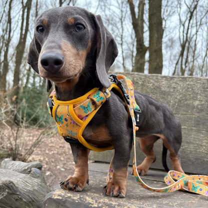 Summer Buzzin’ tactical dog harness, mustard yellow with bees, beetles & butterflies print, durable no‑pull design