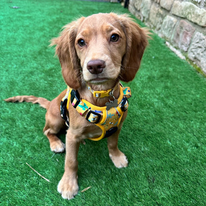 Summer Buzzin’ tactical dog harness, mustard yellow with bees, beetles & butterflies print, durable no‑pull design