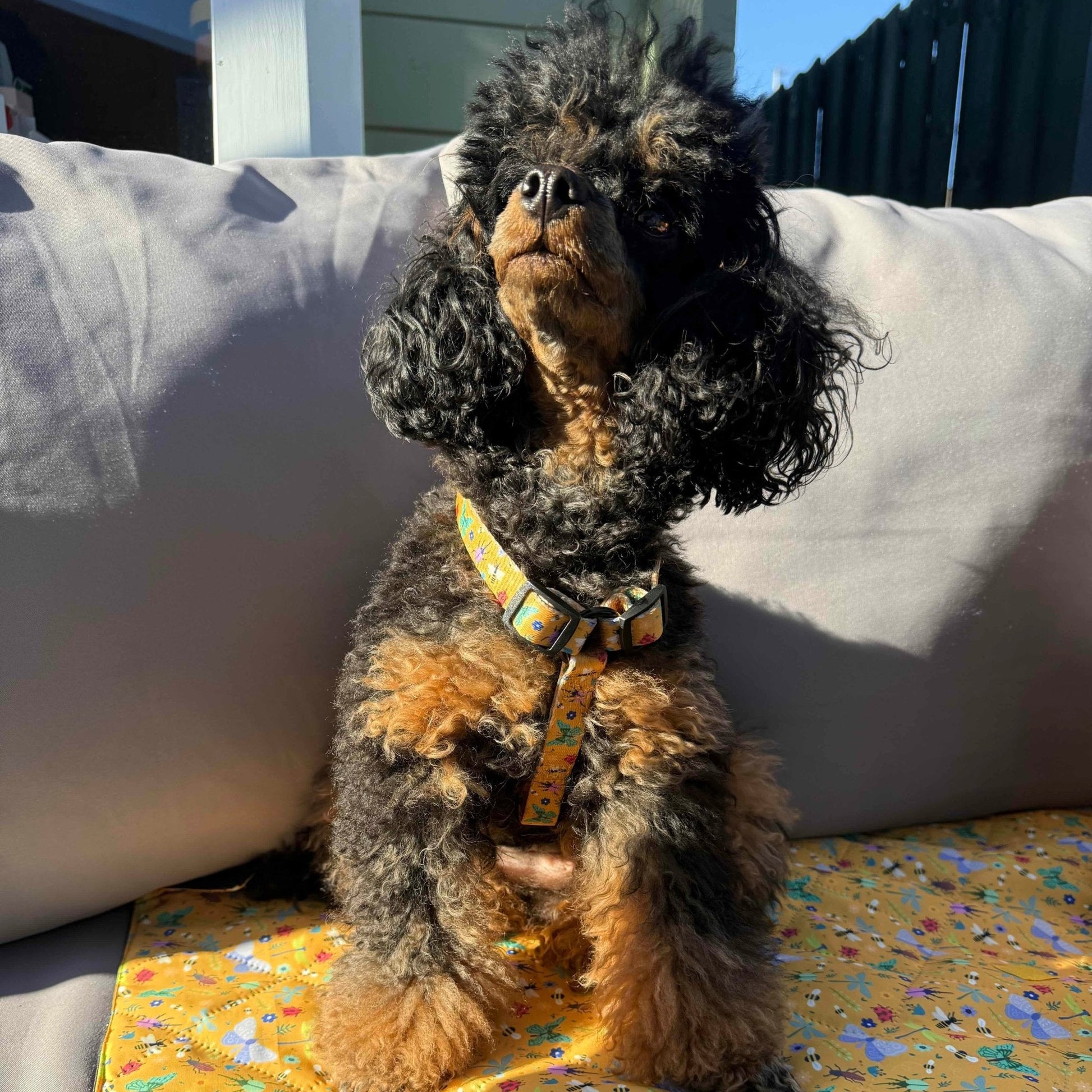 Summer Buzzin’ XXXS puppy harness in mustard yellow with colourful insect print, adjustable straps for tiny pets