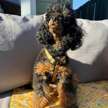 Summer Buzzin’ XXXS puppy harness in mustard yellow with colourful insect print, adjustable straps for tiny pets