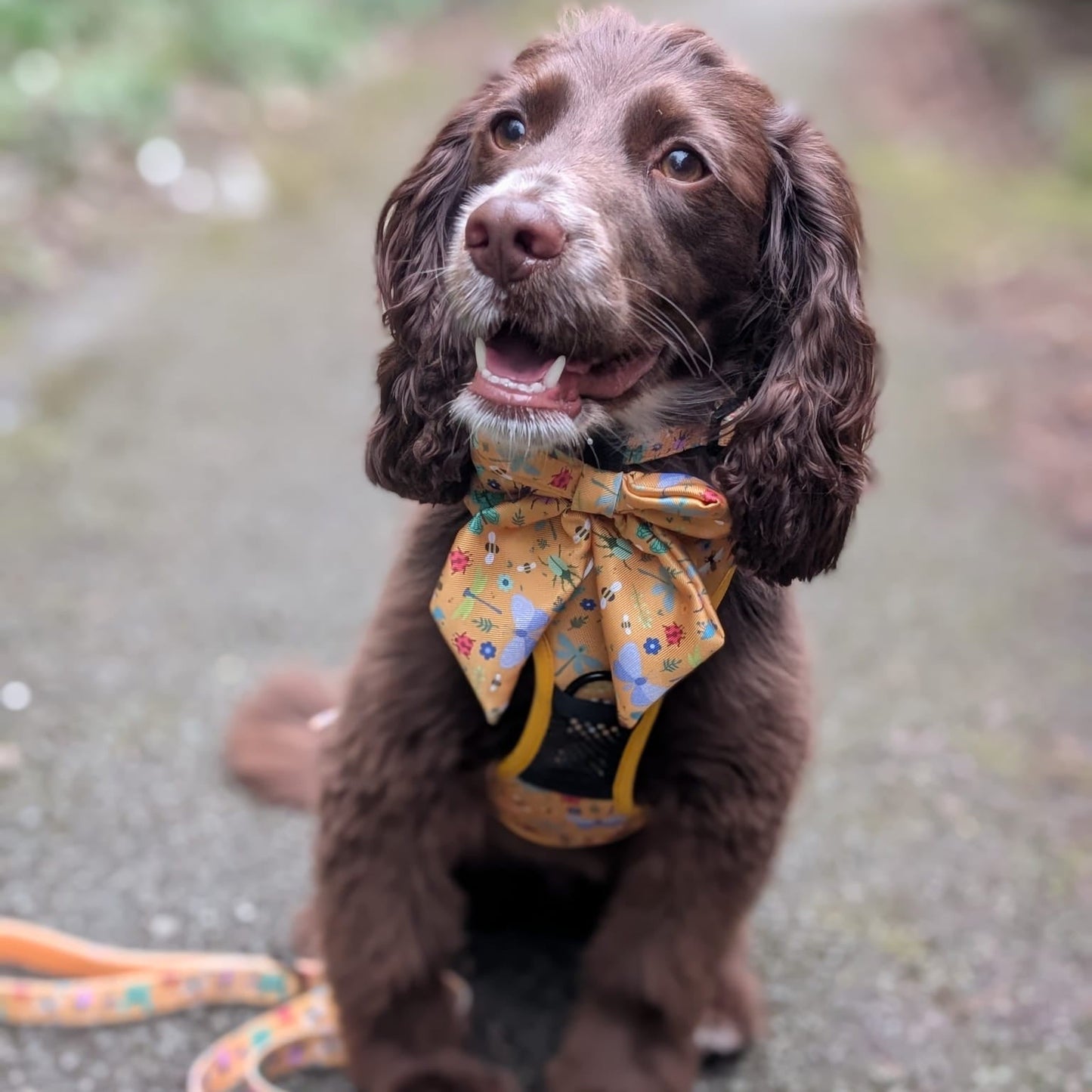 Summer Buzzin’ tactical dog harness, mustard yellow with bees, beetles & butterflies print, durable no‑pull design
