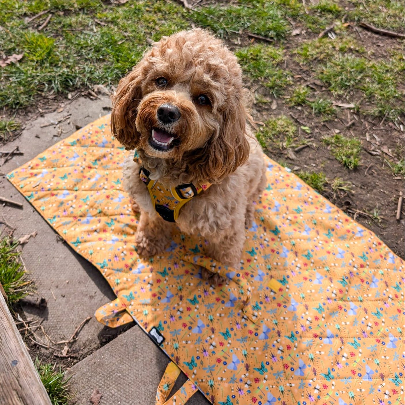 Summer Buzzin’ waterproof dog settle mat with cheerful insect print, 50×100cm portable travel mat