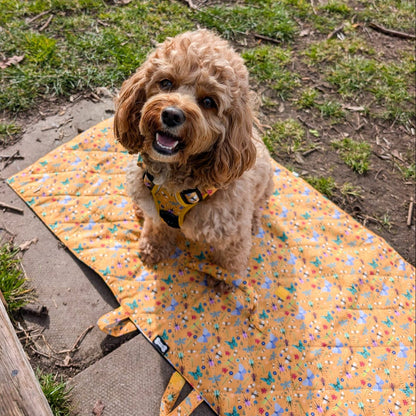 Summer Buzzin’ waterproof dog settle mat with cheerful insect print, 50×100cm portable travel mat