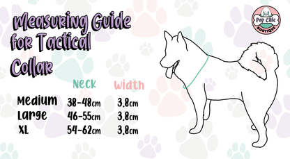 Daydreams & Unicorns tactical dog collar in pastel purple with rainbow unicorn print and metal buckle